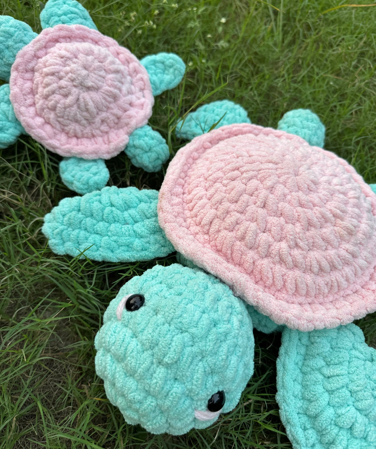 Snuggly Turtle