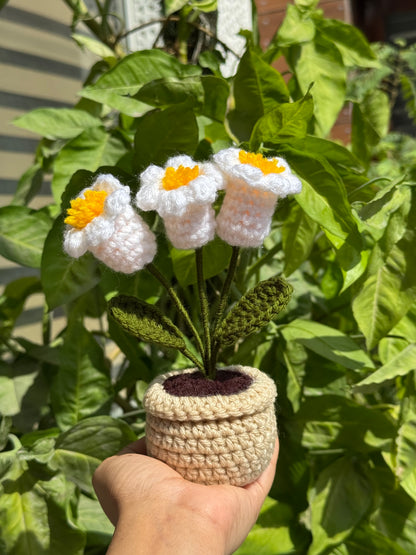 Tulip Bulb Deskmate