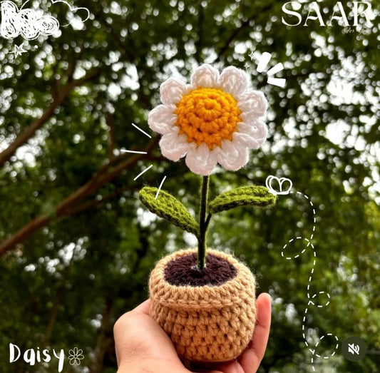 Daisy Deskmate