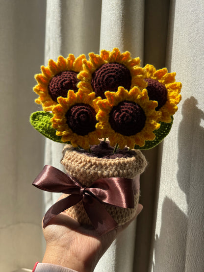 Ray of Yarnshine Pot