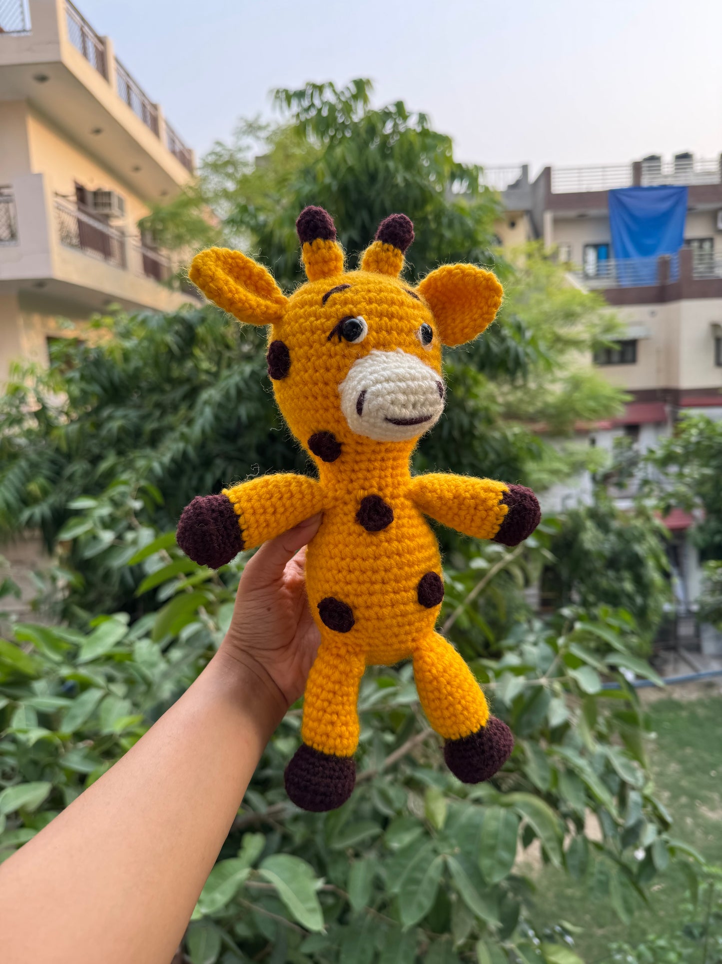 The Giraffe