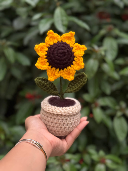 Sunflower Deskmate