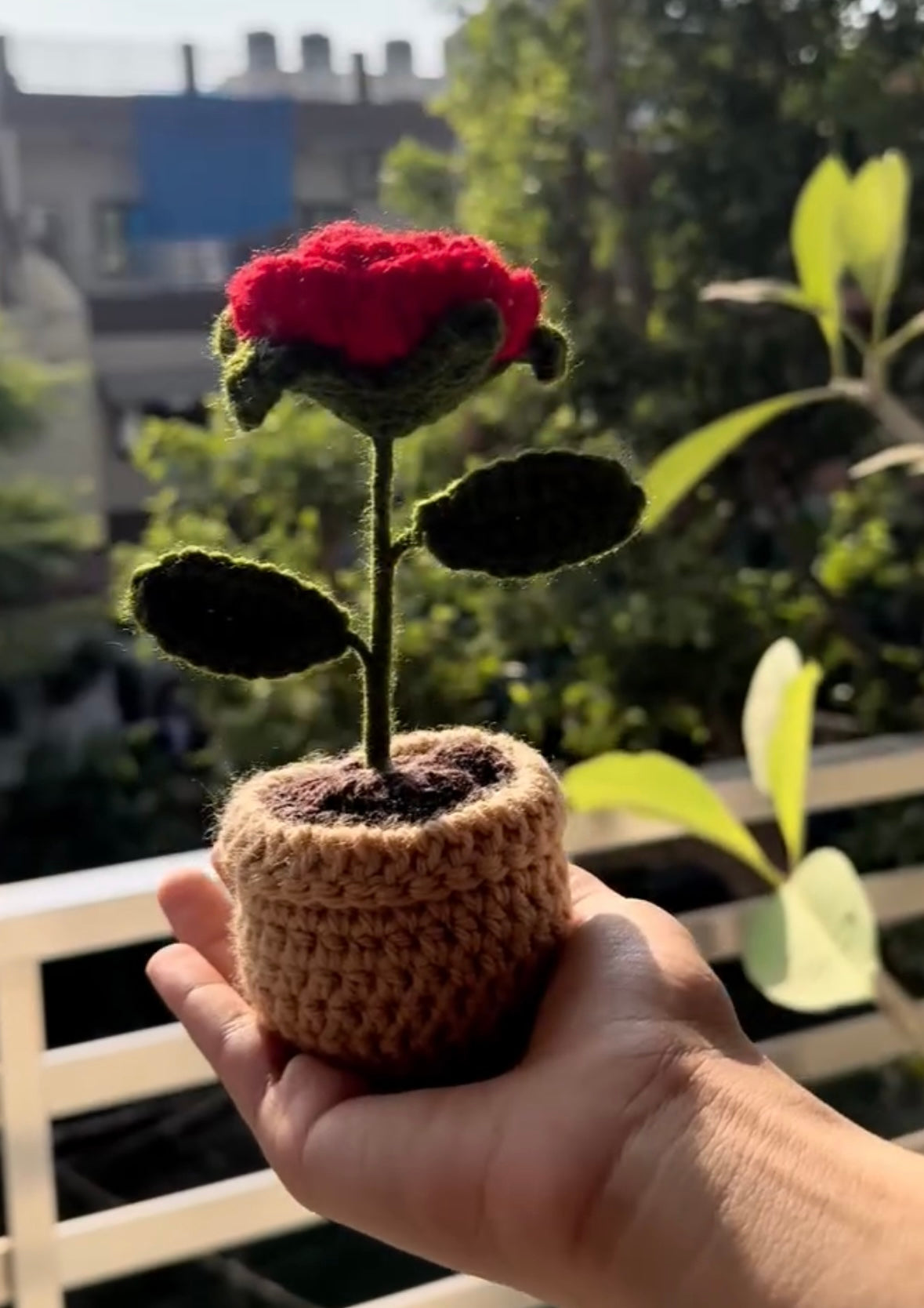 Rose Deskmate