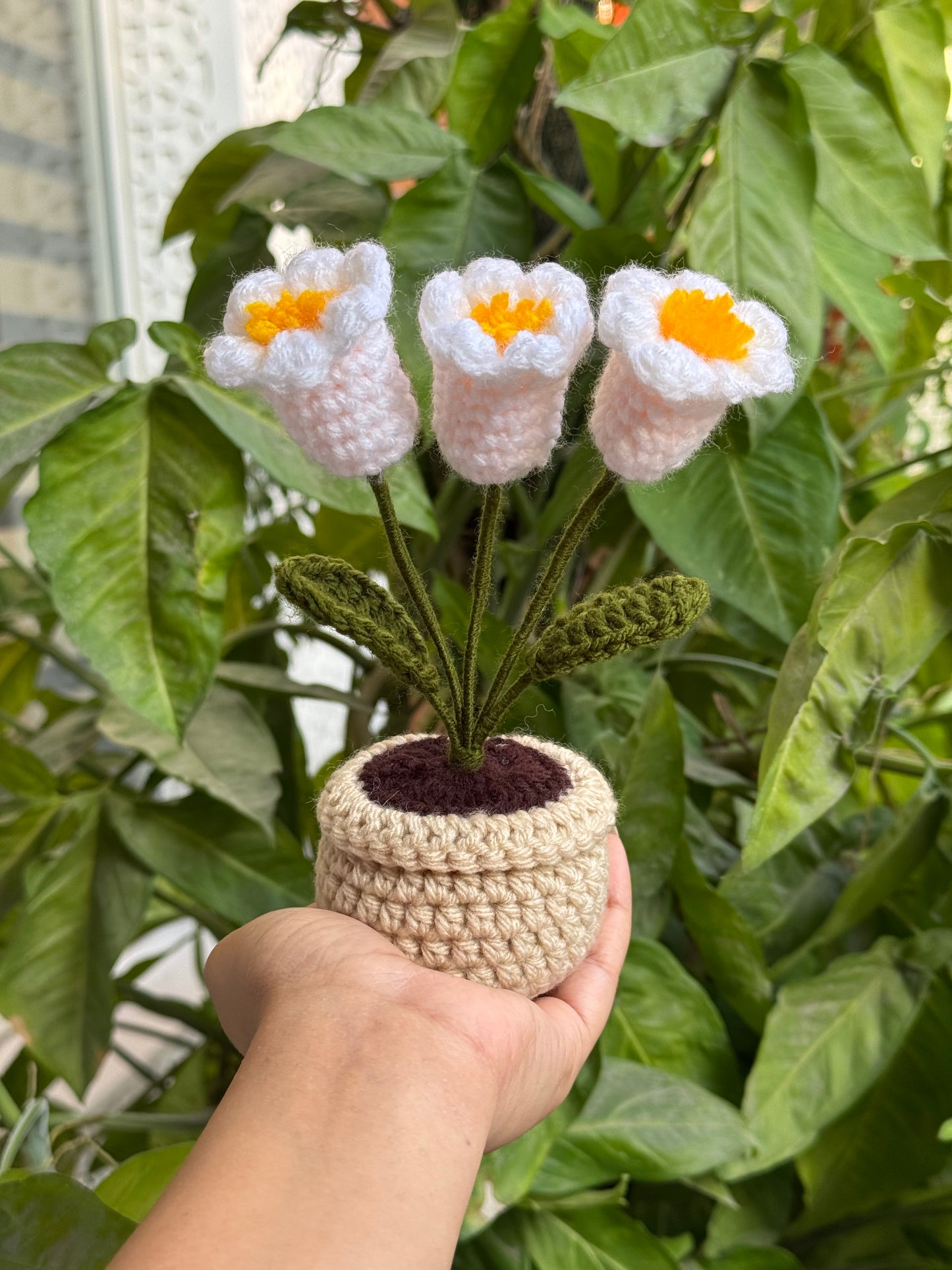 Tulip Bulb Deskmate