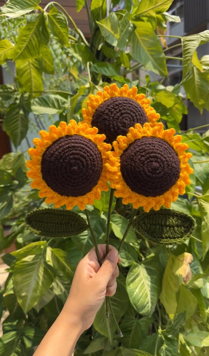 Forever Sunflowers